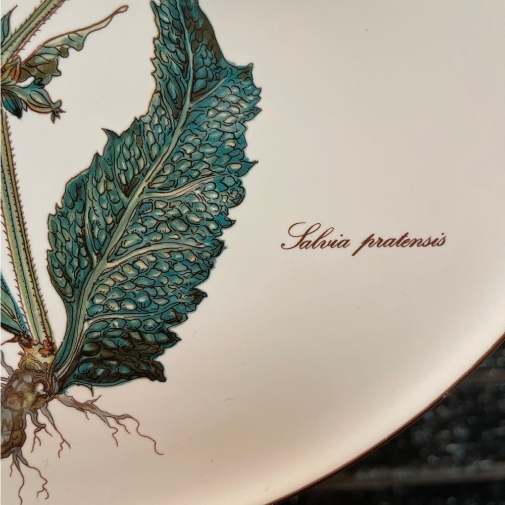 VILLEROY & BOCH Botanica 12" Cake Plate / Tray -Salvia Pratensis Meadow Sage - Picture 5 of 9